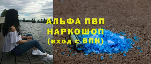сатива Баксан