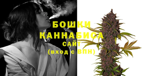 МДПВ Снежинск