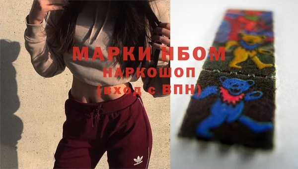 стаф Аркадак
