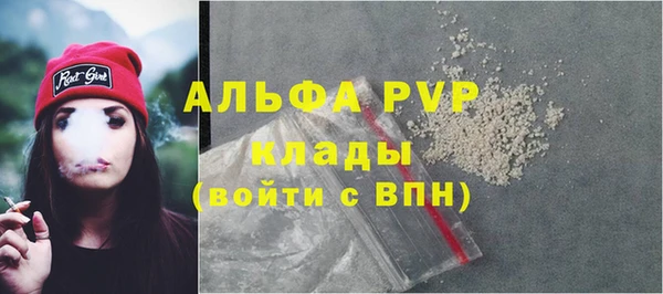 стаф Аркадак