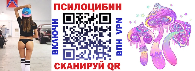 blacksprut   где купить   Певек  площадка формула  Галлюциногенные грибы Psilocybe 